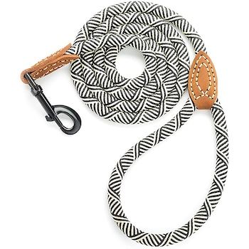 E-Comm: Just 21 Cute Things to Celebrate National Puppy Day